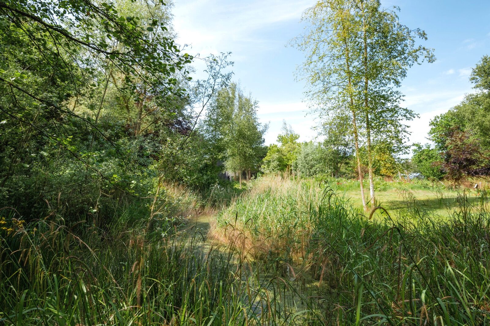 Natuurtuin aan de bosrand